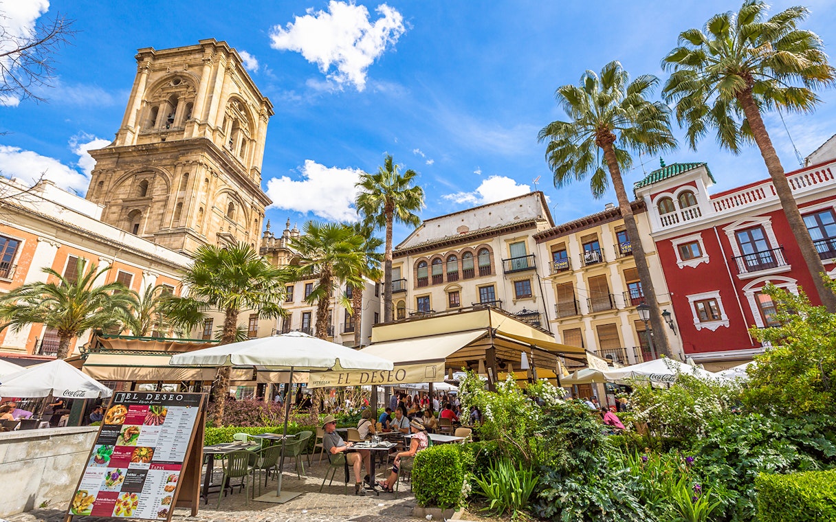 Outdoor café near Cathedral and Royal Chapel of Granada, surrounded by historic buildings and palm trees.
