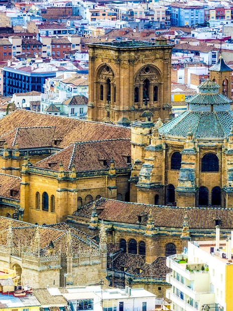Cathedral and Royal Chapel of Granada with cityscape in the background.