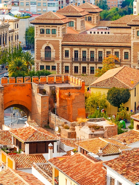 Granada cityscape with historic buildings near Cathedral and Royal Chapel.