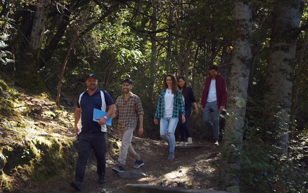 Group walking through forest on Lord of the Rings tour near Queenstown.