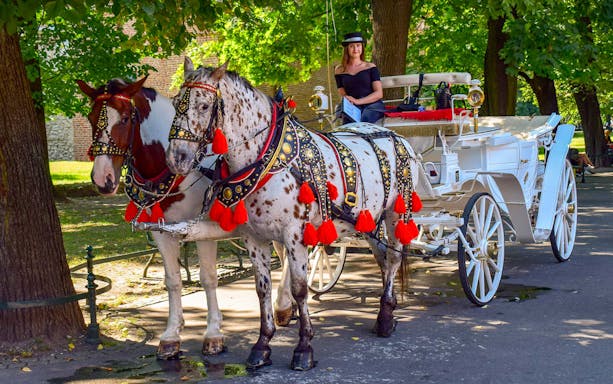 Horse-drawn carriage in Krakow's Old Town with a guide.