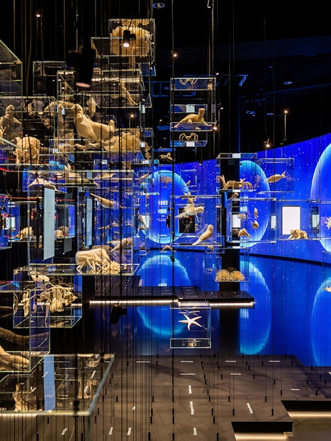 Glass displays with marine life exhibits at Torre Glories Lookout, Barcelona.