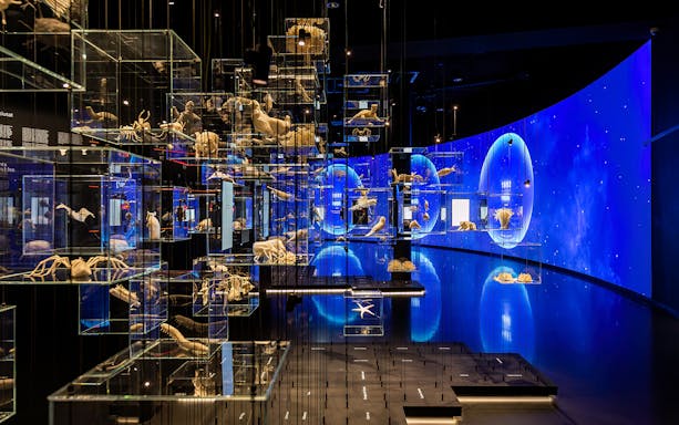 Glass displays with marine life exhibits at Torre Glories Lookout, Barcelona.