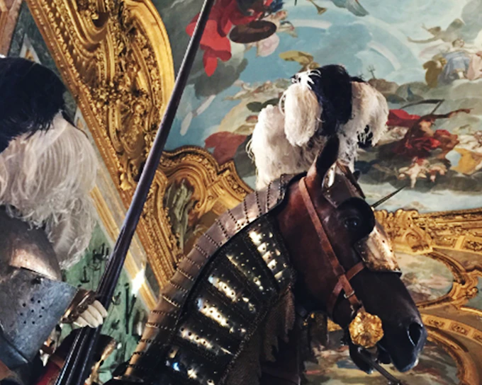 Royal Palace of Turin: Skip-the-Line Ticket and Guided Tour