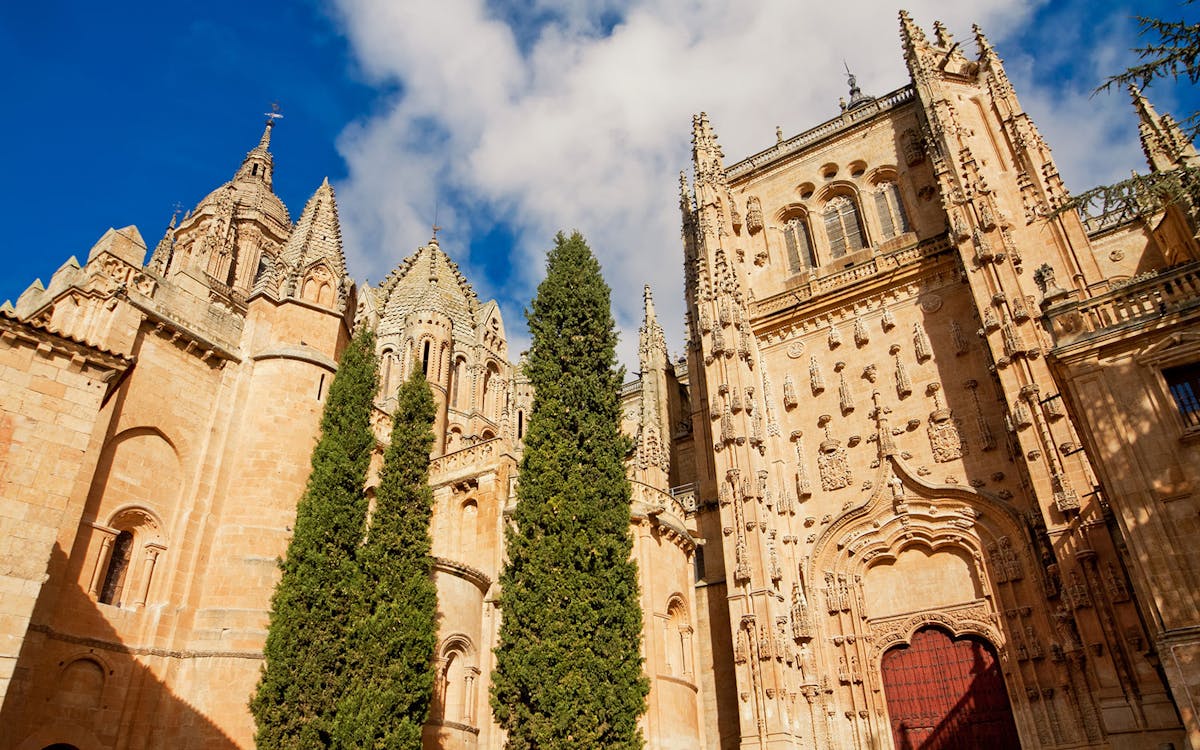 ávila y salamanca: visita guiada de un día desde madrid-5 ávila y salamanca: visita guiada de un día desde madrid-5