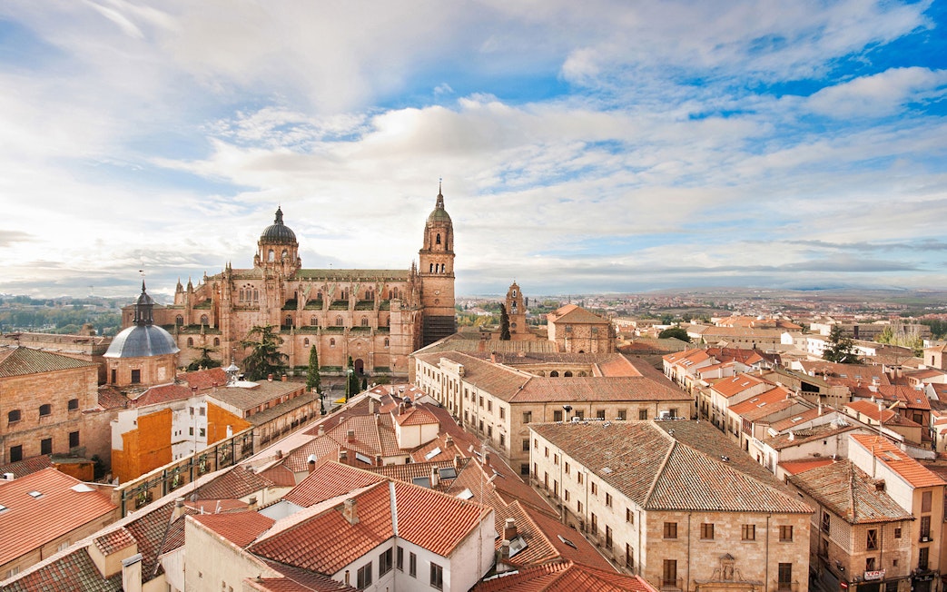 Salamanca Cathedral and cityscape view on Avila and Salamanca tour from Madrid.