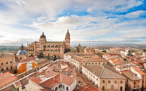 Salamanca Cathedral and cityscape view on Avila and Salamanca tour from Madrid.