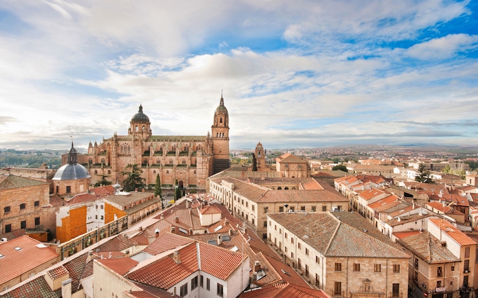 Salamanca Cathedral and cityscape view on Avila and Salamanca tour from Madrid.