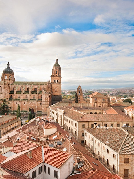 Salamanca Cathedral and cityscape view on Avila and Salamanca tour from Madrid.