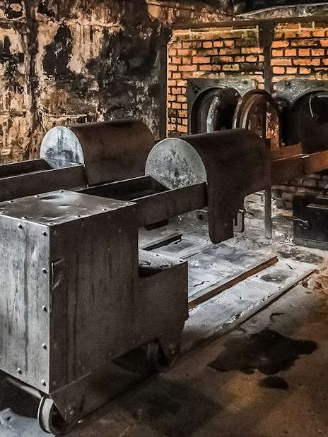 Auschwitz-Birkenau crematorium interior with brick ovens and metal structures.