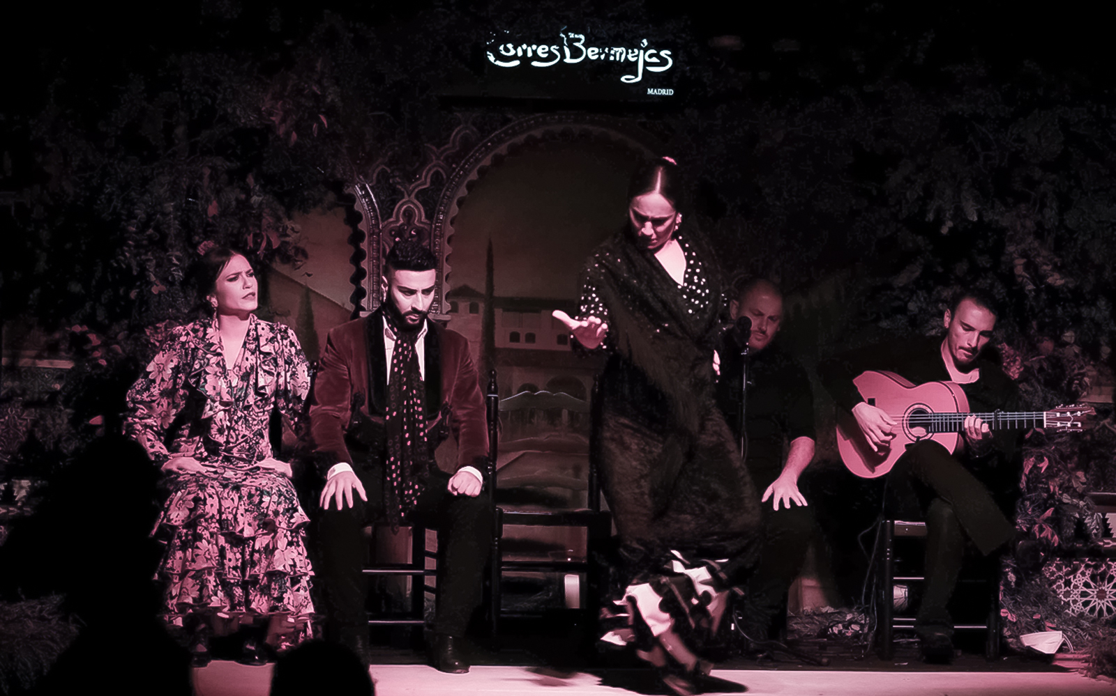 Flamenco performance at Torres Bermejas, Madrid during Royal Palace tour.