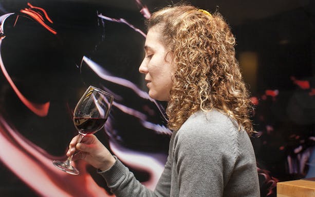 Person enjoying wine tasting experience in Toledo tour from Madrid.