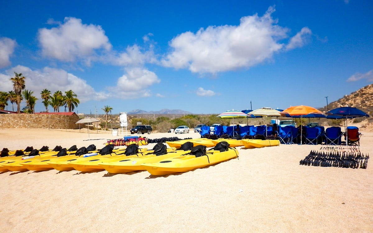 private glass bottom kayak and snorkel at two bays - cabo-8 private glass bottom kayak and snorkel at two bays - cabo-8