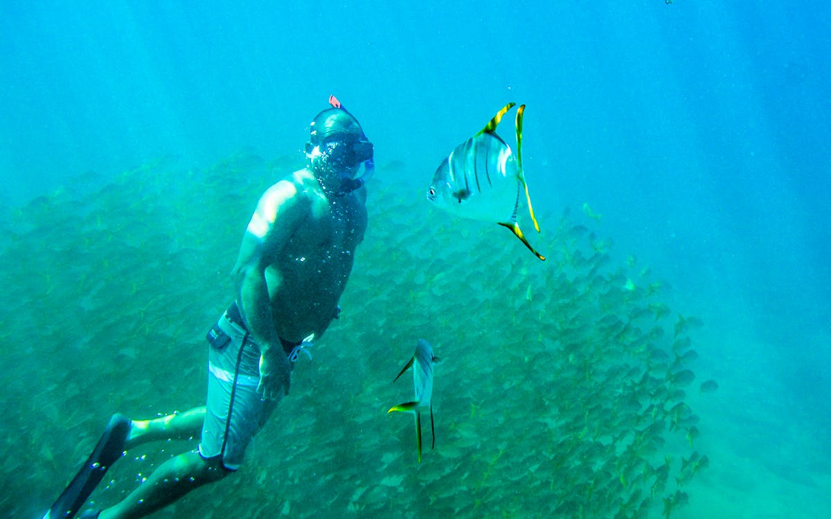 private glass bottom kayak and snorkel at two bays - cabo-7 private glass bottom kayak and snorkel at two bays - cabo-7