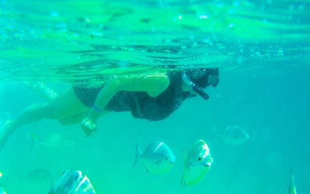 Snorkeler exploring underwater with fish in Cabo's Two Bays.