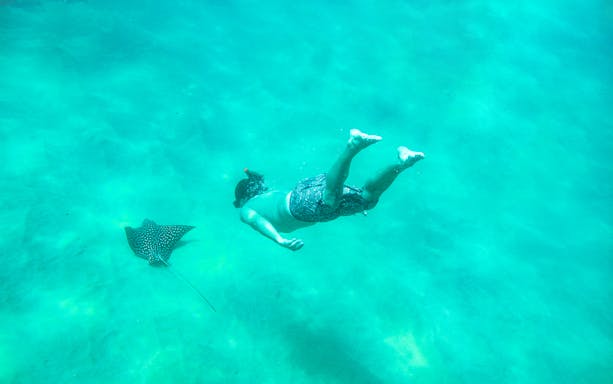 Snorkeler swimming near a spotted eagle ray in Chileno Bay, Los Cabos.