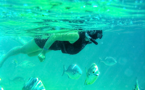 Snorkeler exploring underwater with fish at Chileno Bay, Los Cabos.
