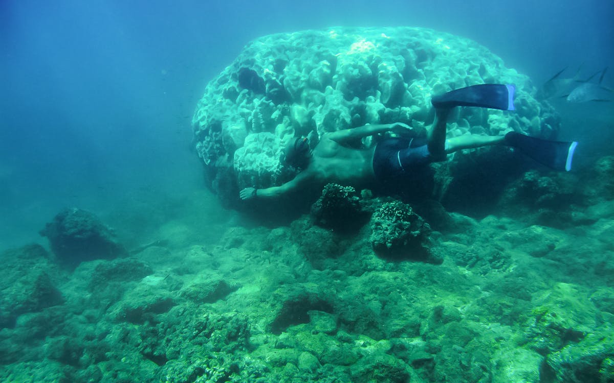 private los cabos snorkeling tour to chileno bay and santa maria cove-6 private los cabos snorkeling tour to chileno bay and santa maria cove-6