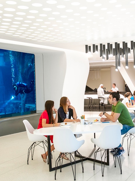 Divers exploring underwater at Deep Dive Dubai, viewed from a modern dining area.