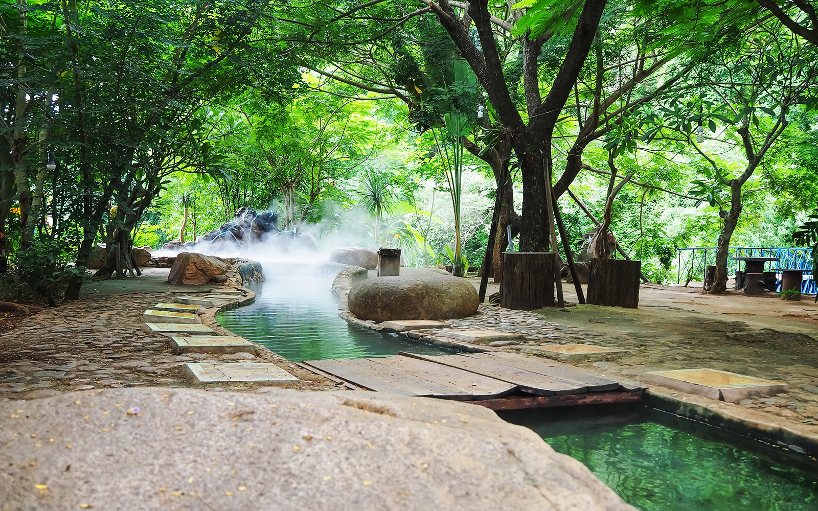 Lush garden path with steaming hot spring in Chiang Rai, Thailand.