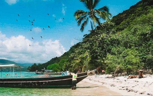 Koh Samui beach with boats, palm trees, and people relaxing on the sand.