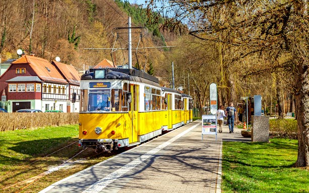 Yellow tram at a Dresden station with passengers nearby, surrounded by trees and traditional houses.