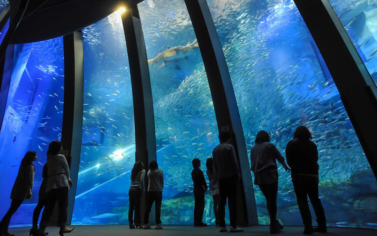 hakkeijima sea paradise admission ticket-3 hakkeijima sea paradise admission ticket-3