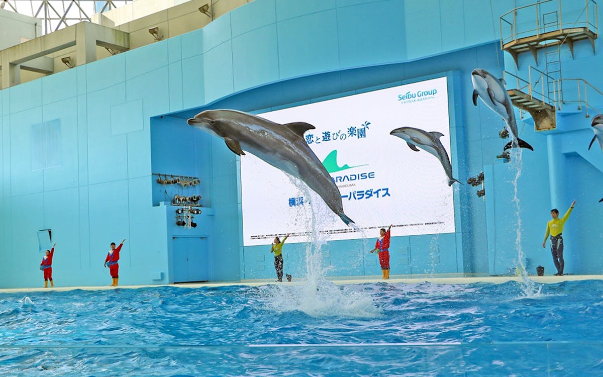 hakkeijima sea paradise admission ticket-2 hakkeijima sea paradise admission ticket-2