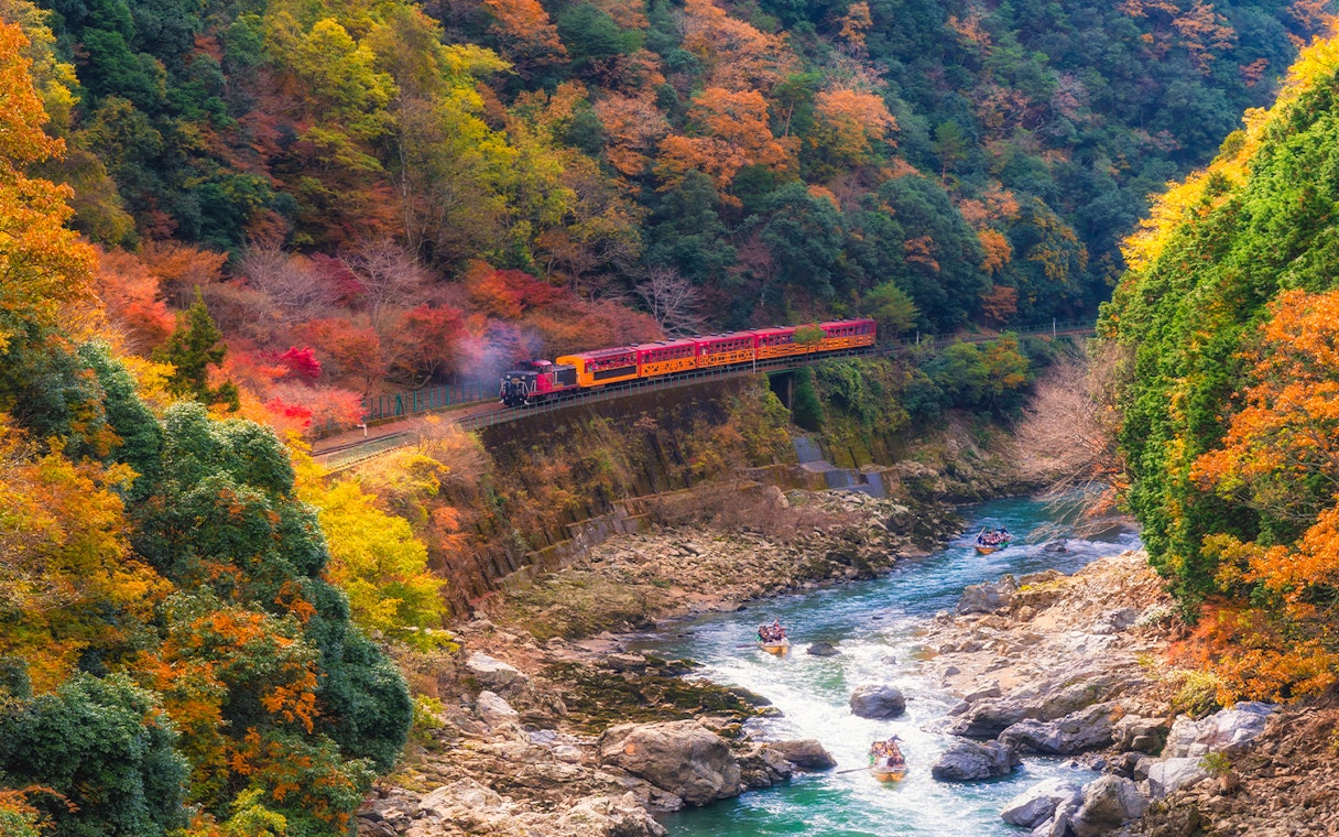 Sagano Romantic Train passing through vibrant autumn foliage in Kyoto, Japan.
