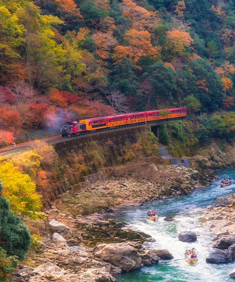 Sagano Romantic Train passing through vibrant autumn foliage in Kyoto, Japan.