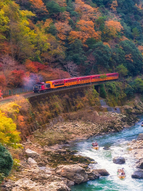 Sagano Romantic Train passing through vibrant autumn foliage in Kyoto, Japan.