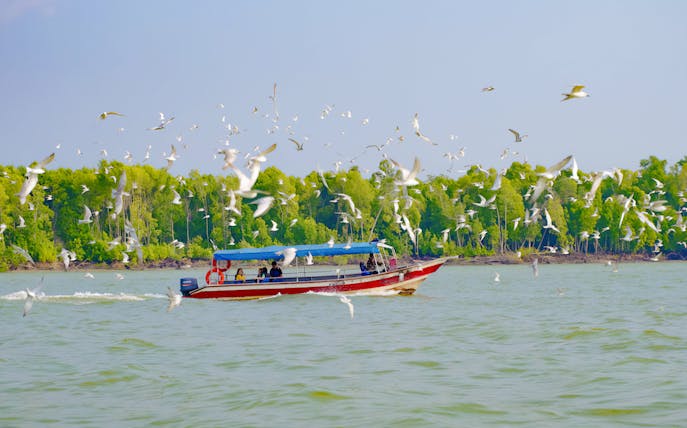 Boat surrounded by birds during Eagles Feeding Experience in Kuala Selangor.