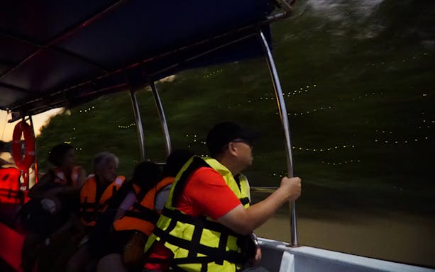 Boat tour group watching fireflies along the river in Kuala Selangor.