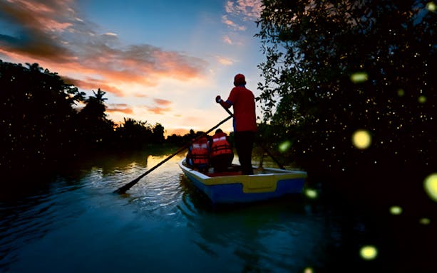 Boat tour at sunset with fireflies in Kuala Selangor.