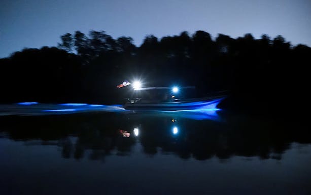 Boat on glowing blue waters during Blue Tears Experience in Kuala Selangor.