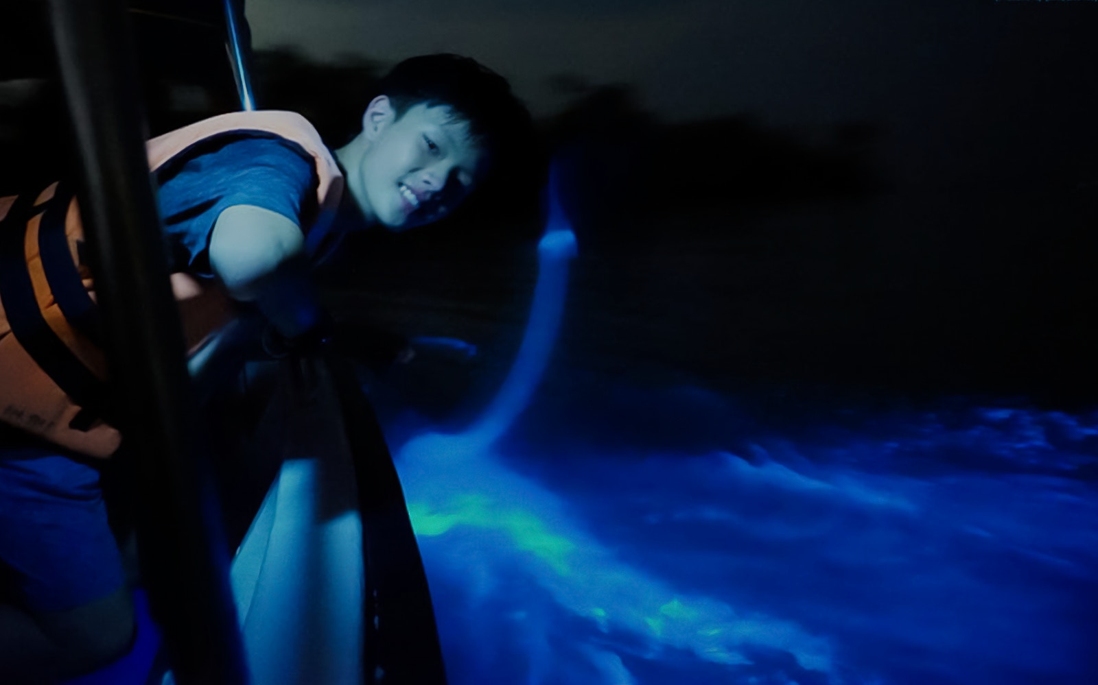 Person on boat observing bioluminescent waters during Blue Tears Experience in Kuala Selangor.