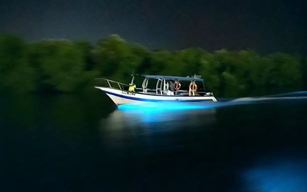 Boat on glowing blue waters during Blue Tears Experience in Kuala Selangor.