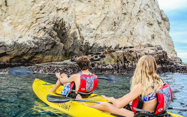 Kayakers approach sea lions on rocky shore during Cabo San Lucas tour.