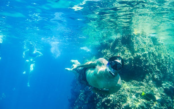 Snorkeler exploring coral reef during private kayaking tour in Cabo San Lucas.