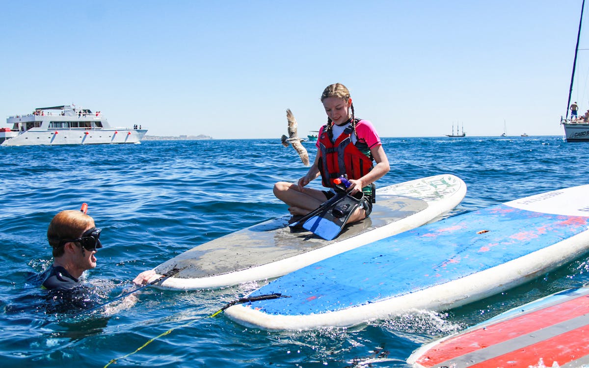private paddleboarding and snorkeling tour at the arch of cabo san lucas-8 private paddleboarding and snorkeling tour at the arch of cabo san lucas-8