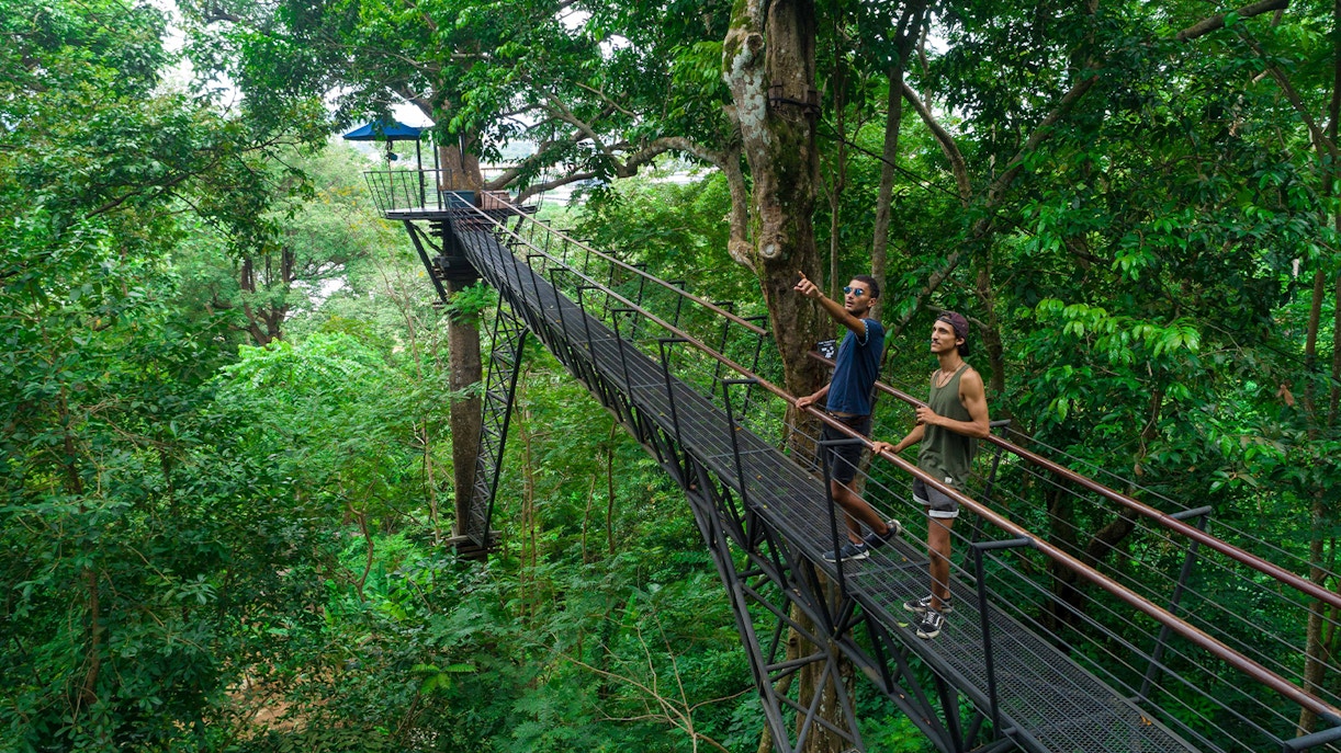 Visitors on a treetop walkway at Hanuman World, surrounded by lush forest.