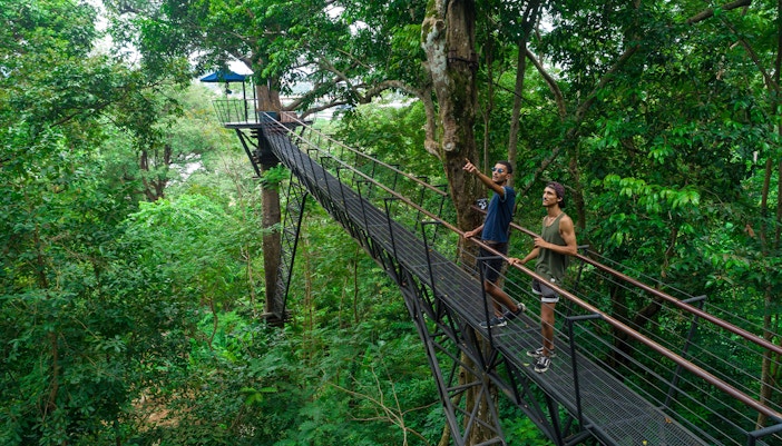 Visitors on a treetop walkway at Hanuman World, surrounded by lush forest.
