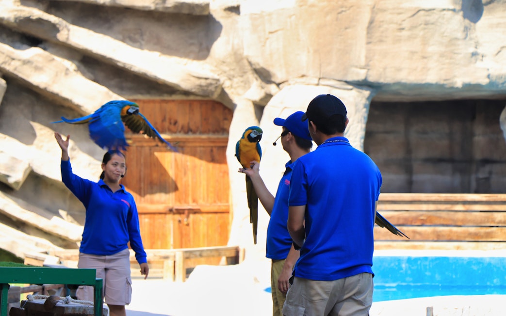Trainers interacting with parrots during a show at Emirates Park Zoo.