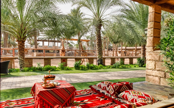 Giraffes at Emirates Park Zoo with traditional seating and refreshments in the foreground.