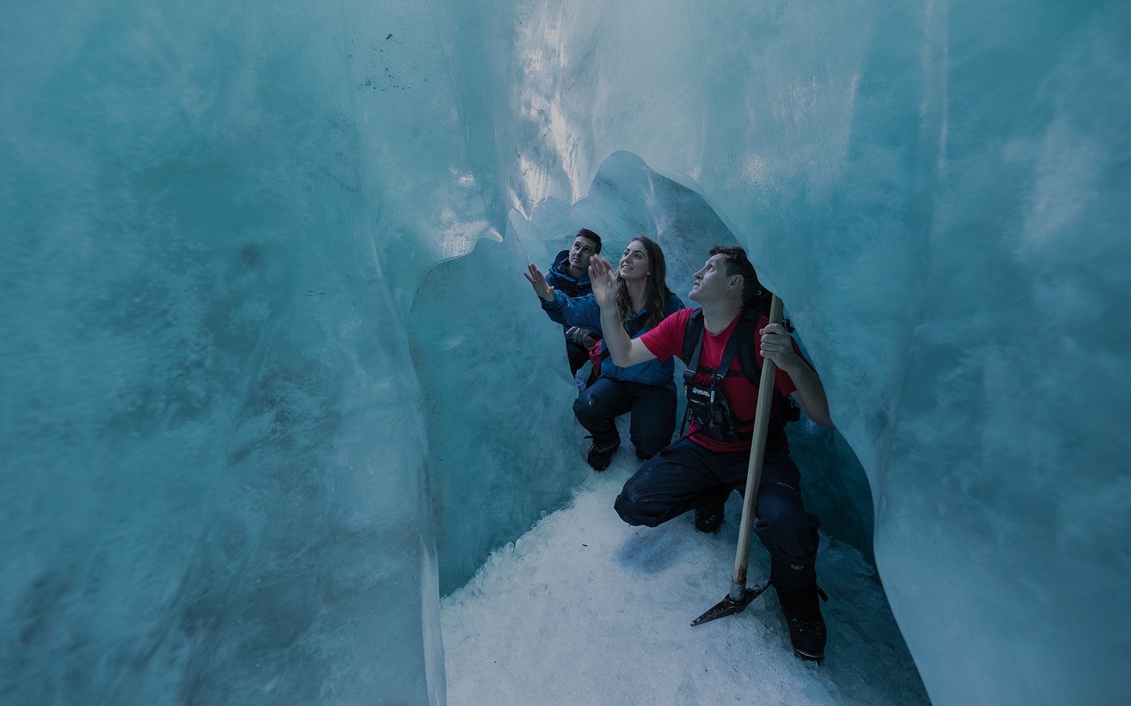 Franz Josef Glacier Tours
