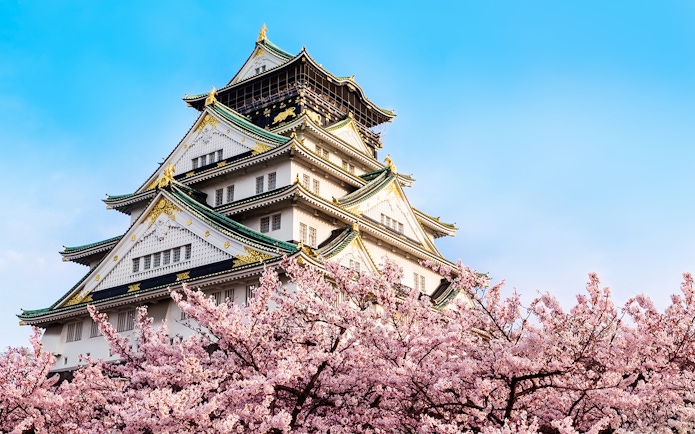 Osaka Castle with cherry blossoms in spring, Japan, viewed from park entrance.