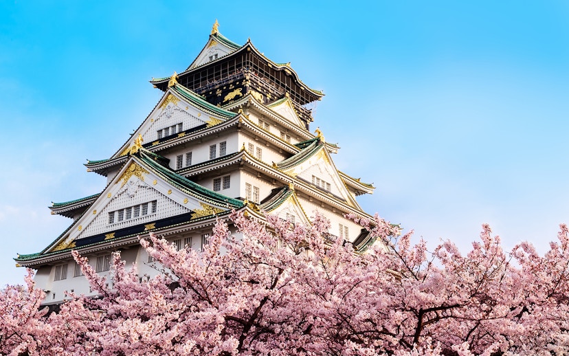 Osaka Castle with cherry blossoms in spring, Japan, viewed from park entrance.