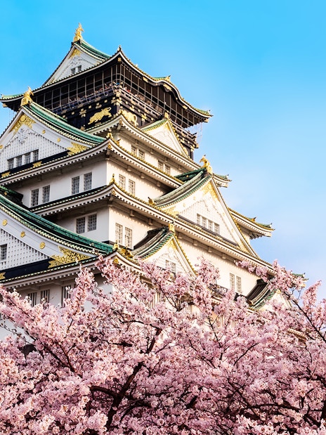 Osaka Castle with cherry blossoms in spring, Japan, viewed from park entrance.