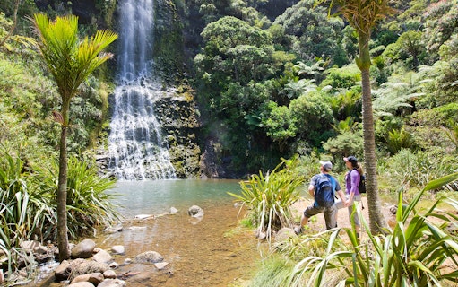 Hikers admiring a waterfall in lush forest on Auckland City & West Coast Luxury Tour.