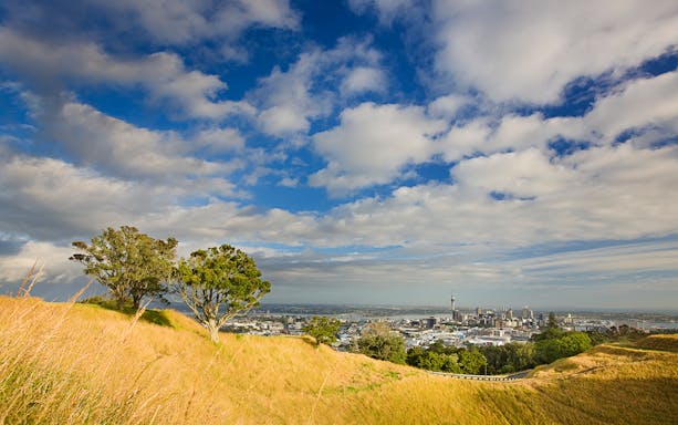 Auckland skyline view with Sky Tower and luxury tour bus on West Coast.